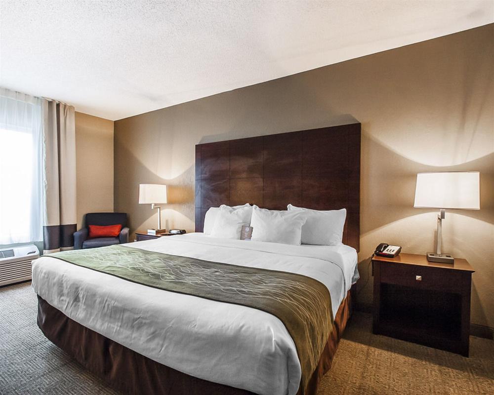 Comfort Inn Us Hwy 80 Demopolis Εξωτερικό φωτογραφία
