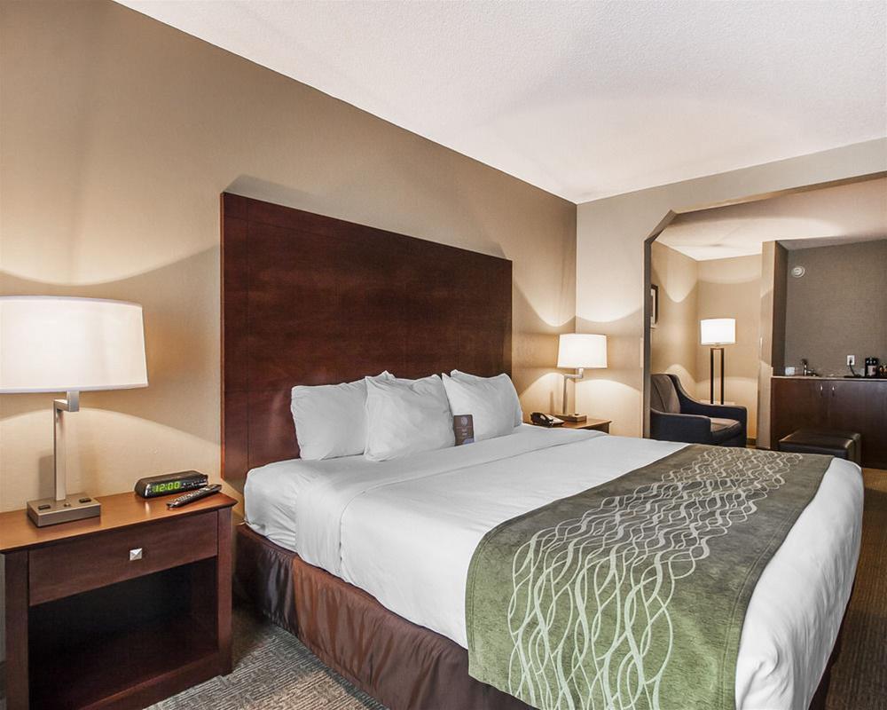 Comfort Inn Us Hwy 80 Demopolis Εξωτερικό φωτογραφία