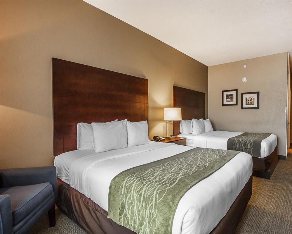 Comfort Inn Us Hwy 80 Demopolis Εξωτερικό φωτογραφία