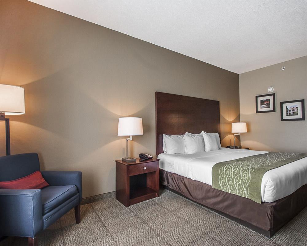 Comfort Inn Us Hwy 80 Demopolis Εξωτερικό φωτογραφία