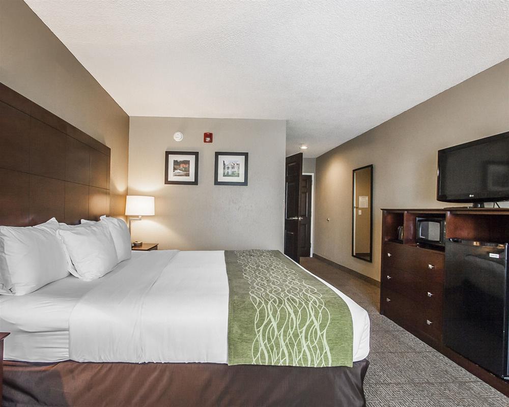 Comfort Inn Us Hwy 80 Demopolis Εξωτερικό φωτογραφία
