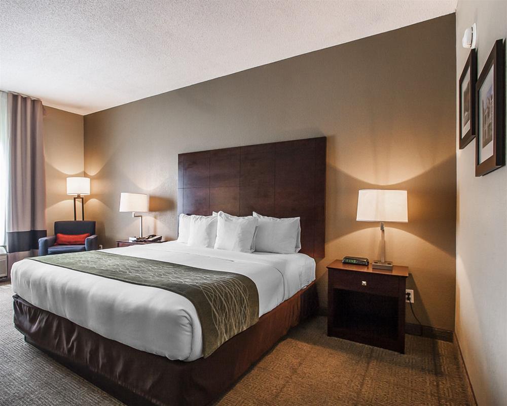 Comfort Inn Us Hwy 80 Demopolis Εξωτερικό φωτογραφία
